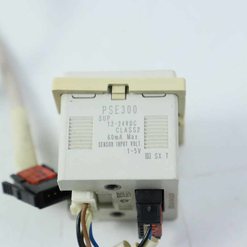  PSE300